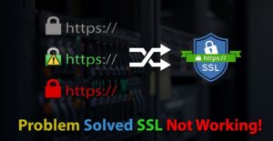 SSL errors & Bugs