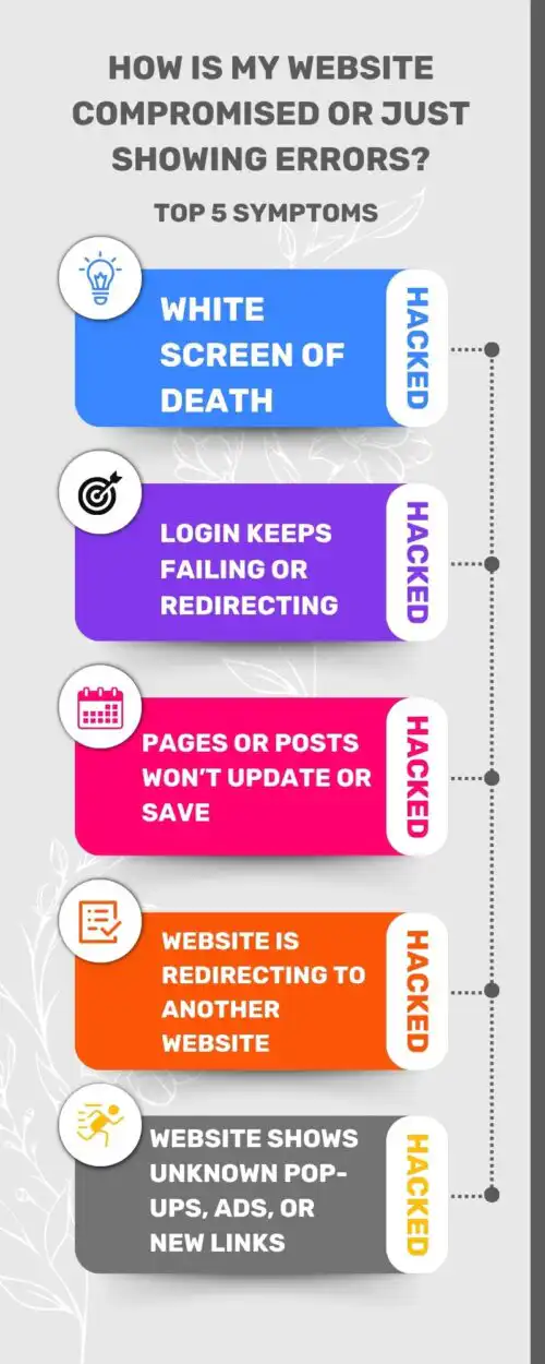 Solutions designed to boost website efficiency and SEO